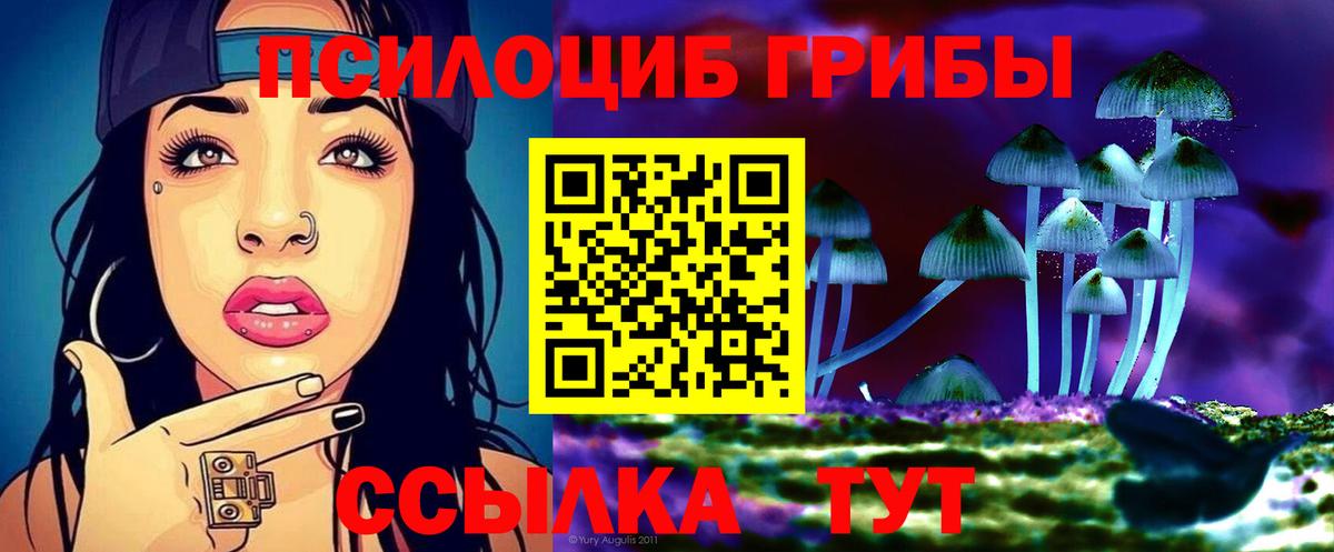 Псилоцибиновые грибы Cubensis  Вход с VPN  Калуга 