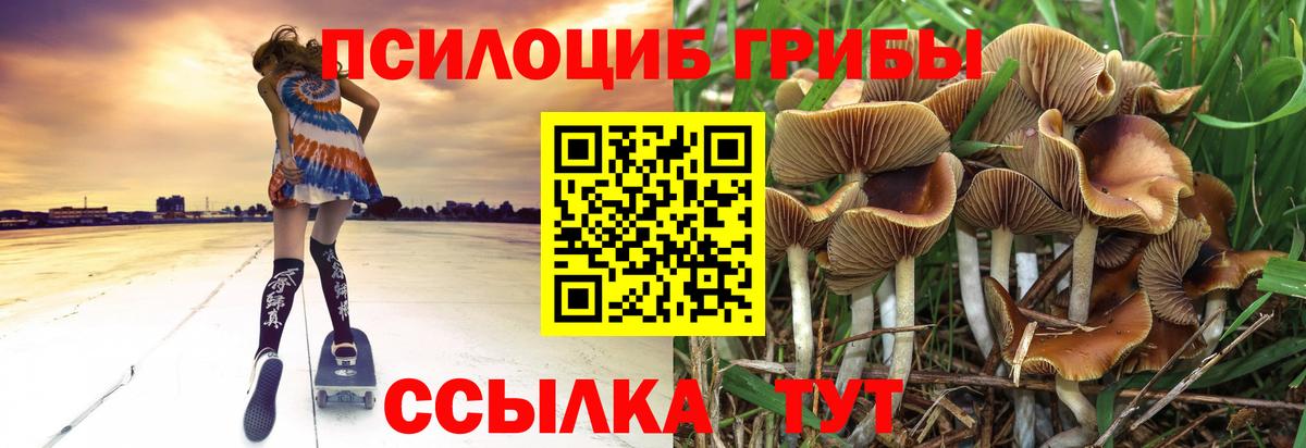 Галлюциногенные грибы прущие грибы Калуга