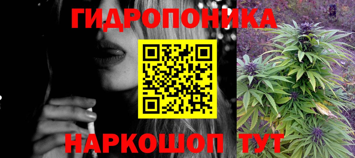 Калуга  Конопля марихуана  Вход с VPN  Бошки Шишки сатива  Бошки Шишки сатива 